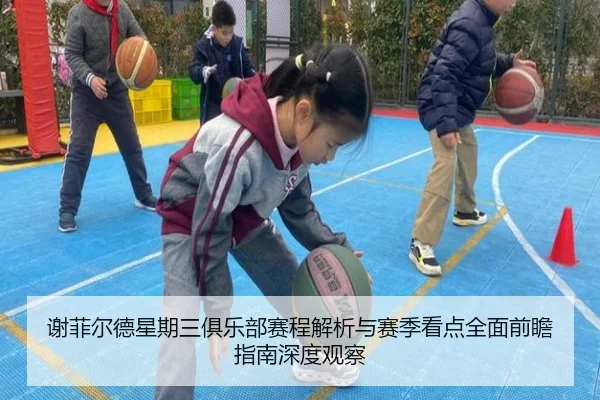 谢菲尔德星期三俱乐部赛程解析与赛季看点全面前瞻指南深度观察