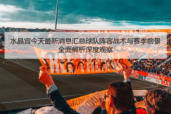 水晶宫今天最新消息汇总球队阵容战术与赛季前景全面解析深度观察