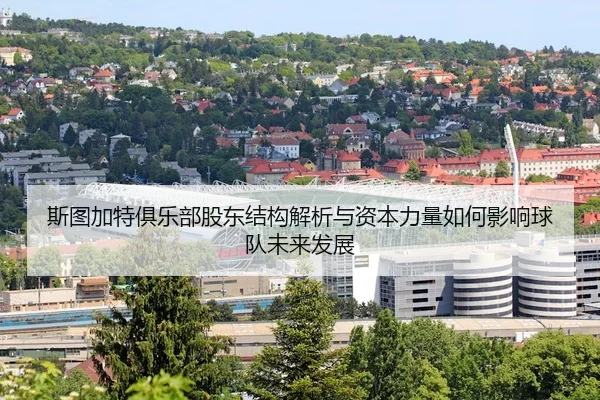 si-tu-jia-te-ju-le-bu-gu-dong-jie-gou-jie-xi-yu-zi-ben-li-liang-ru-he-ying-xiang-qiu-dui-wei-lai-fa-zhan-2-256.jpg