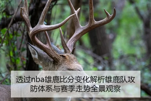 tou-guo-xiong-lu-bi-fen-bian-hua-jie-xi-xiong-lu-dui-gong-fang-ti-xi-yu-sai-ji-zou-shi-quan-jing-guan-cha-2-336.jpg